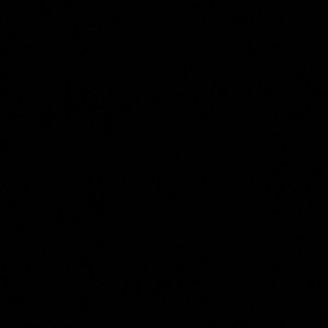 Meet your Posher, Dennis